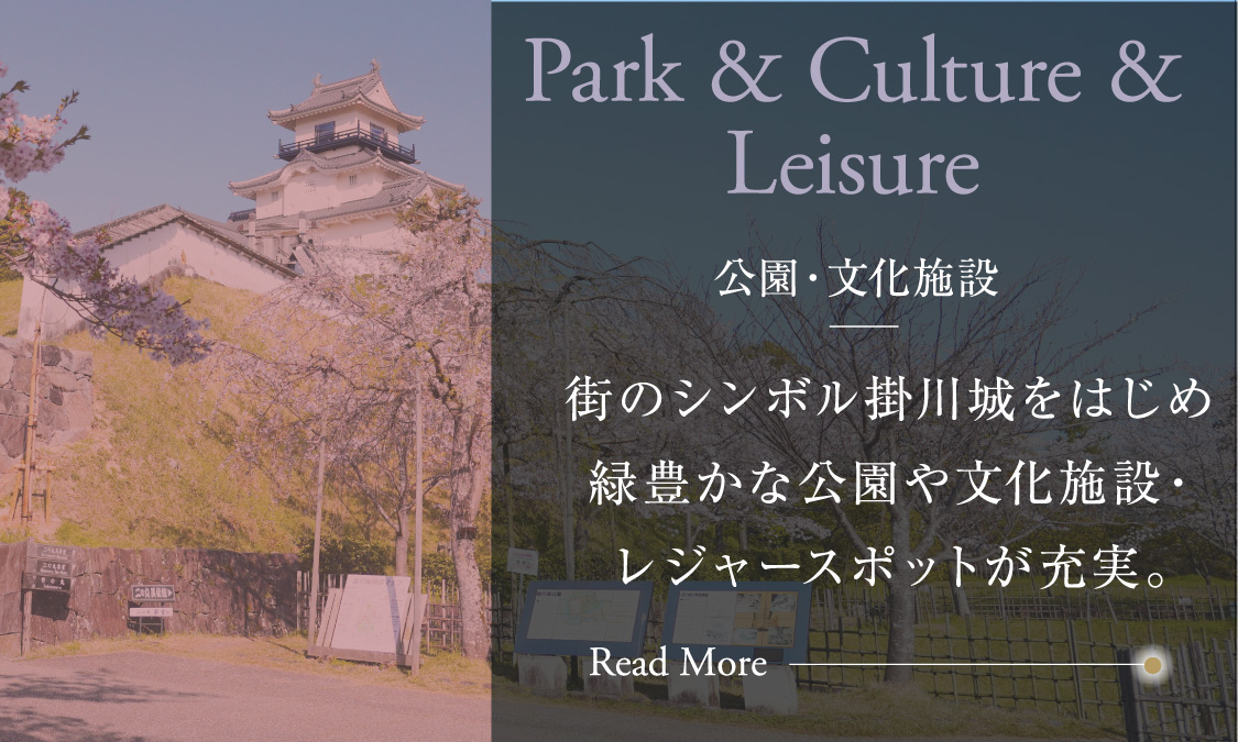 Park & Culture &Leisure