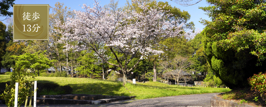 北池公園（約1,000m／徒歩13分）